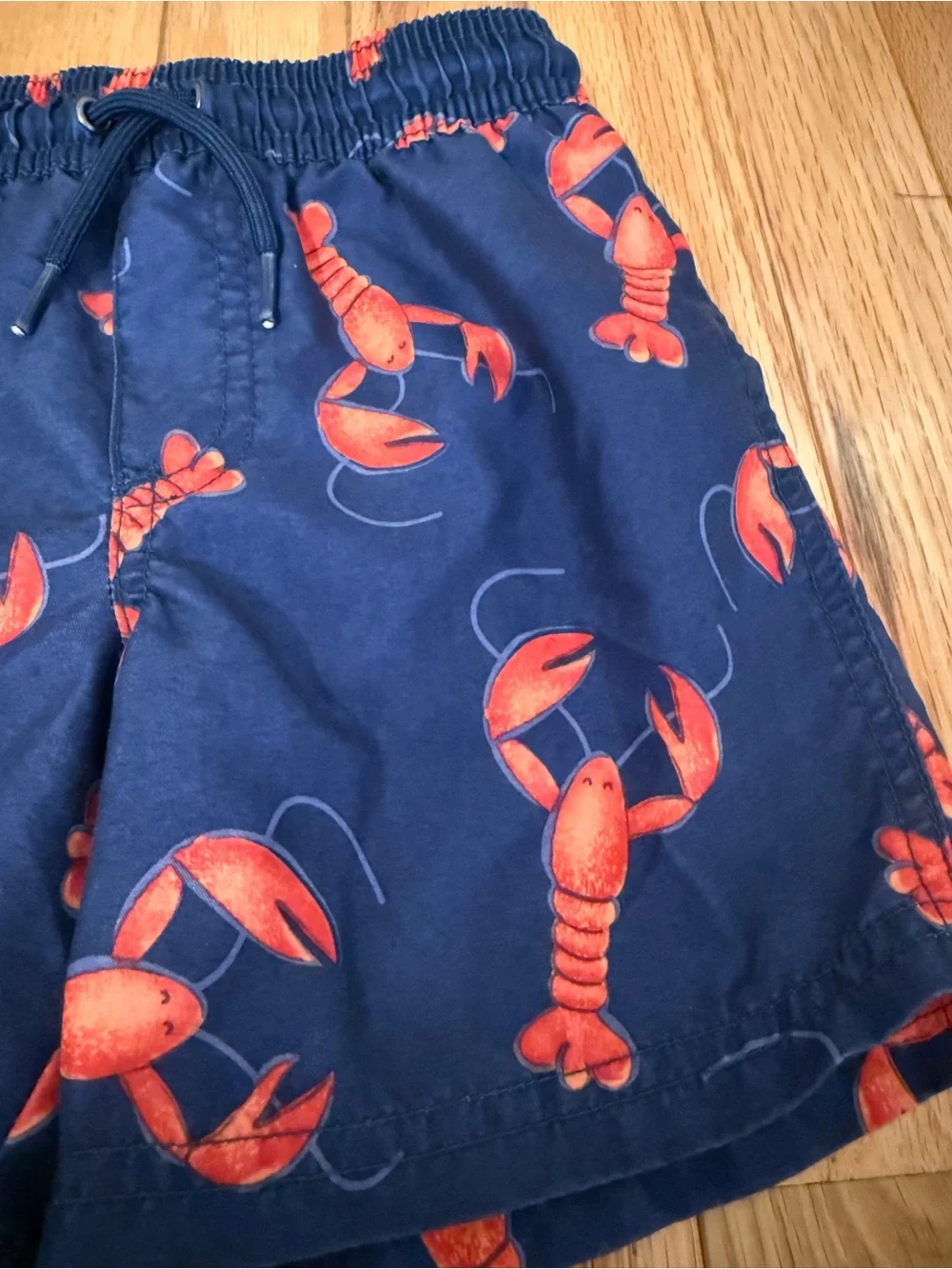 Navy Blue Lobster Print Boys Swim Shorts